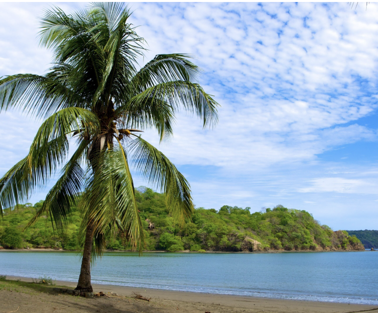 Playa con palmeras a 5 minutos de Eden Ubedi en San Carlos