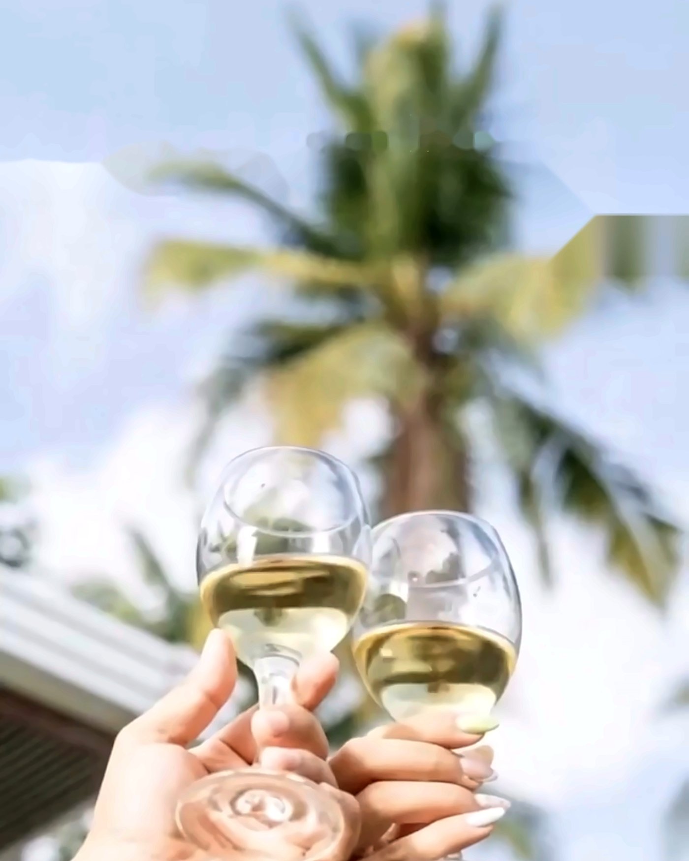 Pareja brindando con copas junto a las palmeras de la villa privada
